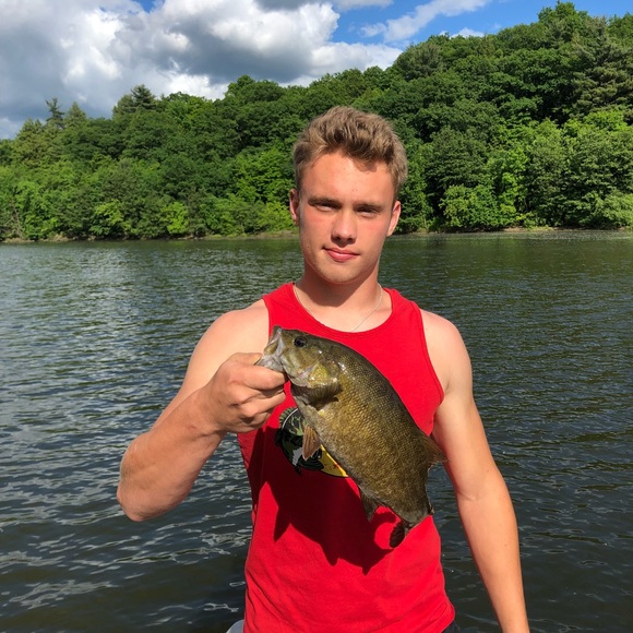 Meet your Posher, Codi - Picture 1 of 1